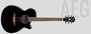 Ibanez AEG10II Cutaway Acoustic-Electric Guitar Black