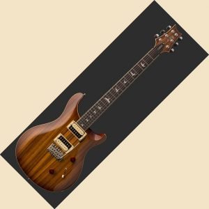 PRS Paul Reed Smith SE Custom 24