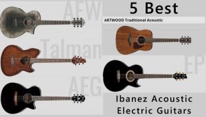 Ibanez acoustic electric guitars