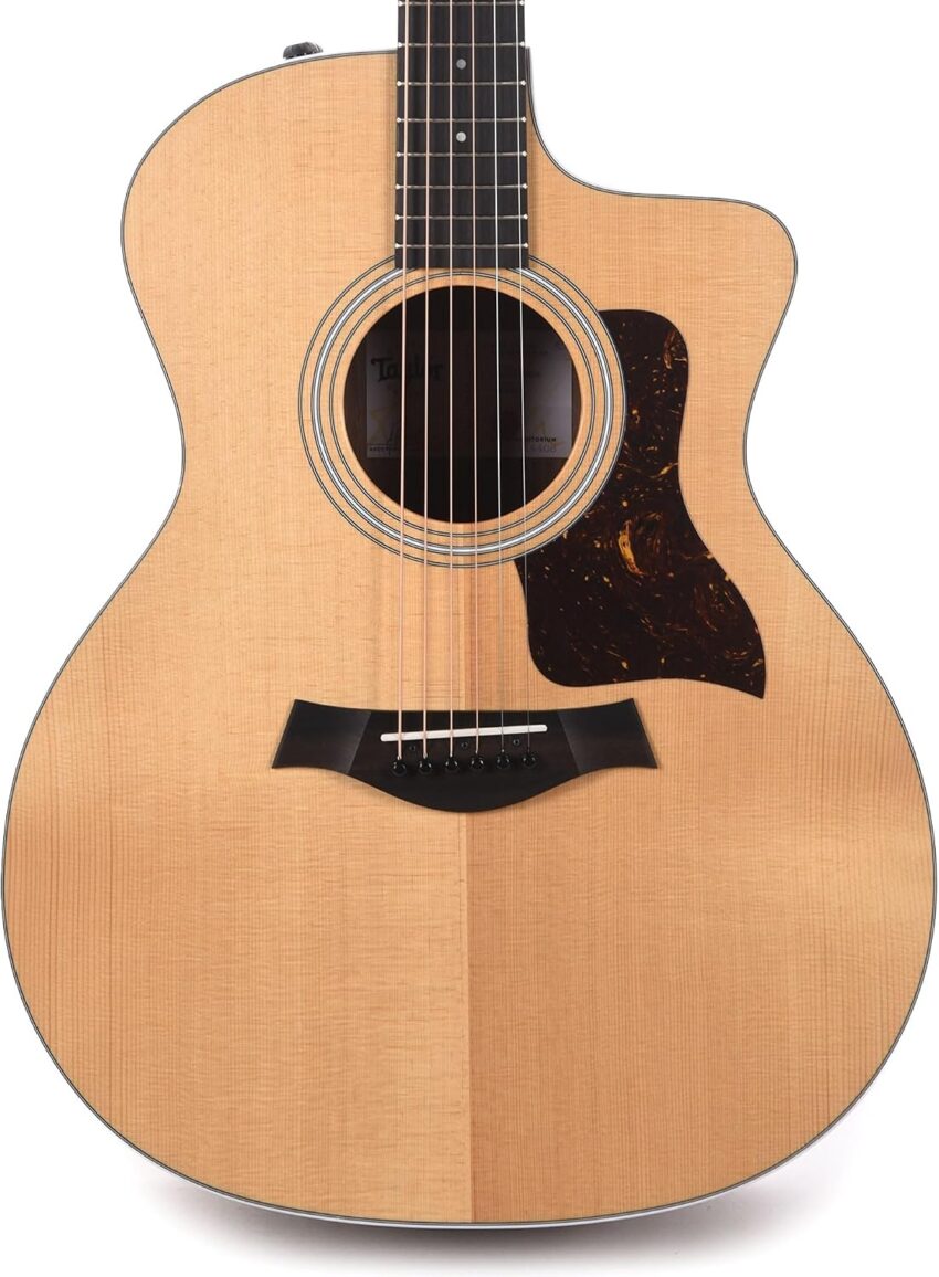 taylor acoustic guitar alternative