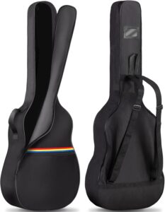 acoustic guitar package with case