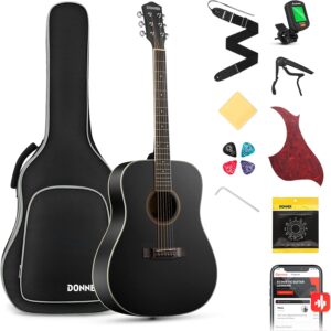 top rated acoustic guitars
