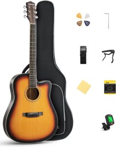 acoustic electric guitar