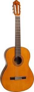 affordable acoustic guitar