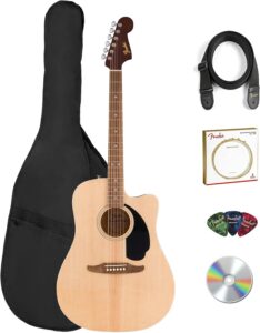 acoustic electric guitar