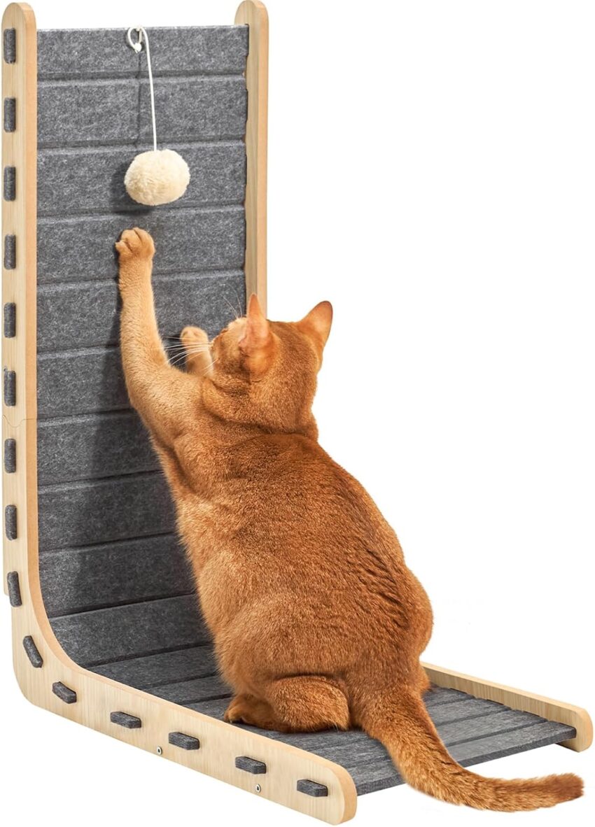 Amazon Basics Cat Scratching Posts