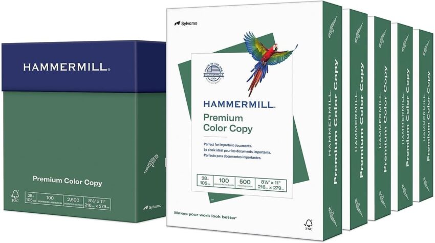 Amazon Basics Business Supplies