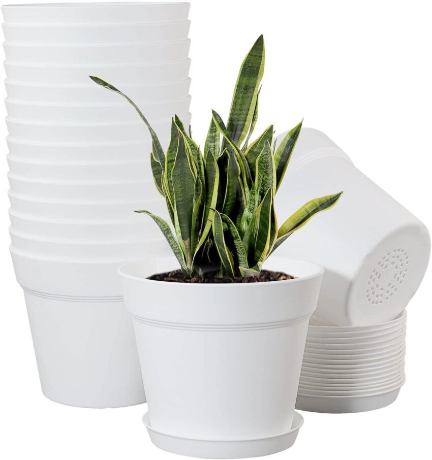 Amazon Basics Plastic Planters
