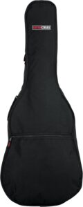guitar Gig bags and hard cases