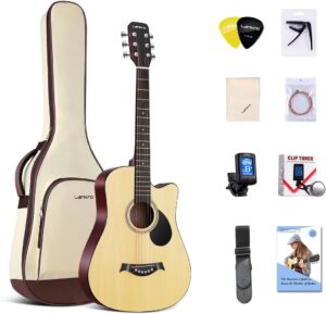acoustic guitar starter kit