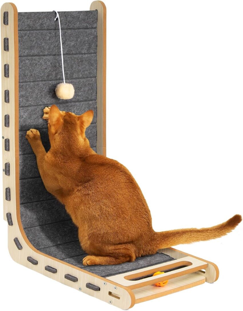 Amazon Basics Cat Scratching Posts