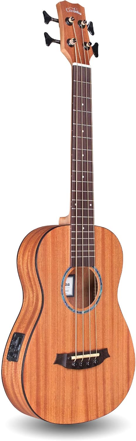 travel electric guitar