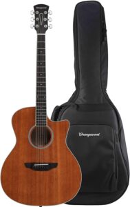 acoustic guitar deals
