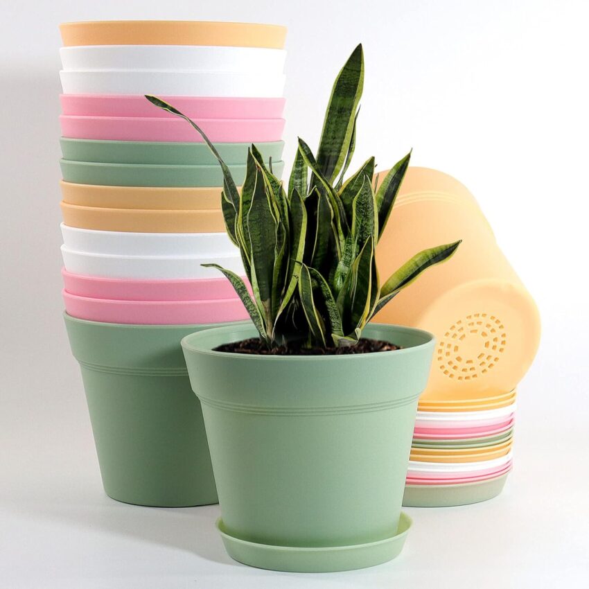 Amazon Basics Plastic Planters