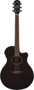 acoustic electric guitar