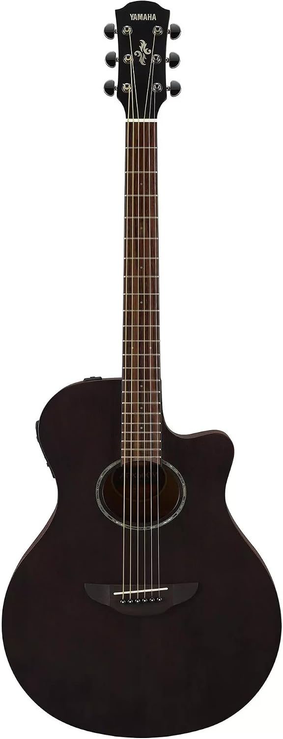 acoustic electric guitar