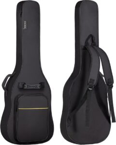 guitar Gig bags and hard cases