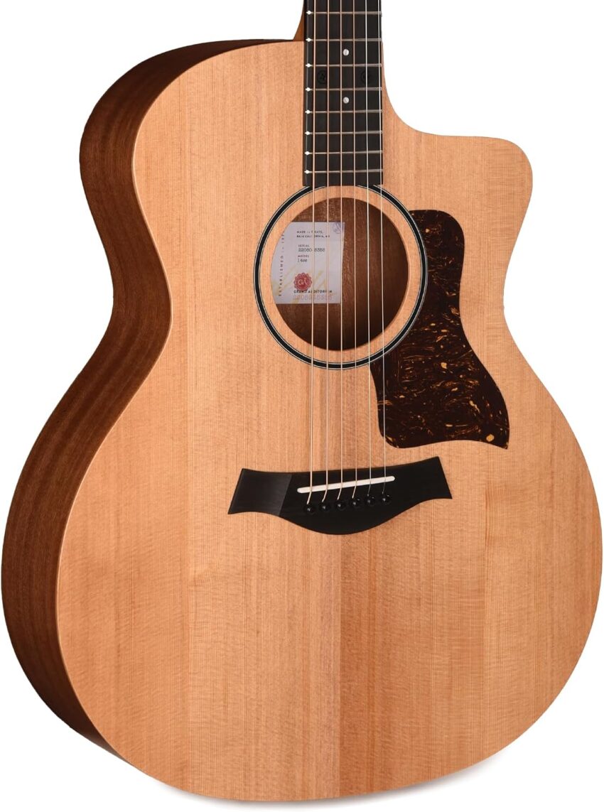 acoustic guitar reviews