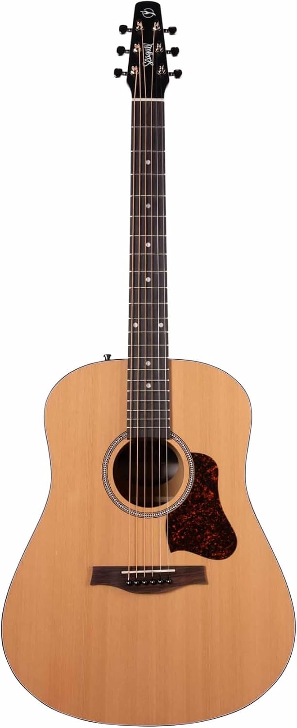 top rated acoustic guitars