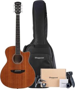 acoustic guitar deals
