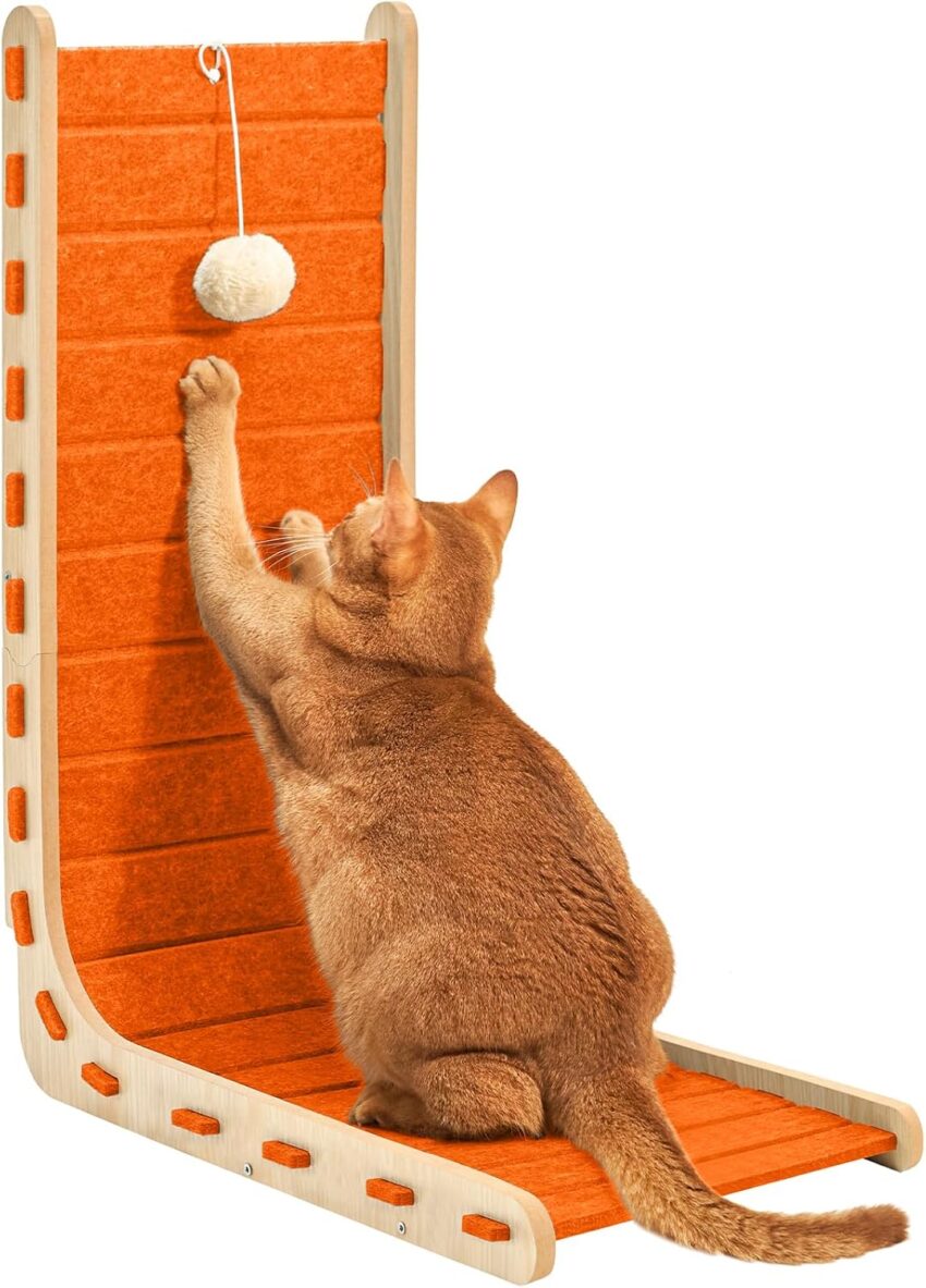 Amazon Basics Cat Scratching Posts