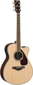 acoustic electric guitar
