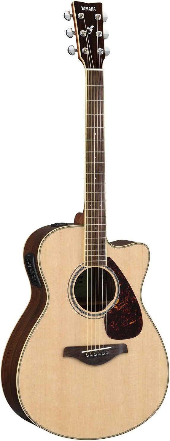 acoustic electric guitar