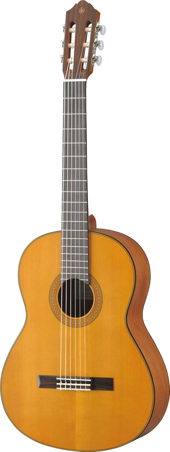 top rated acoustic guitars
