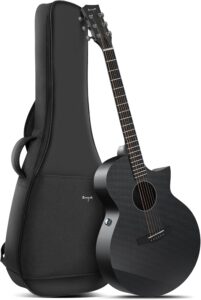 acoustic electric guitar