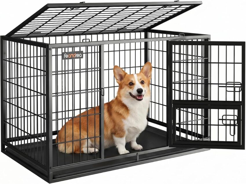 Amazon Basics Wire Dog Crates