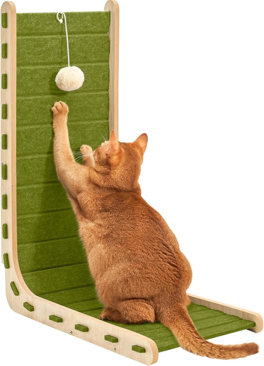 Amazon Basics Cat Scratching Posts