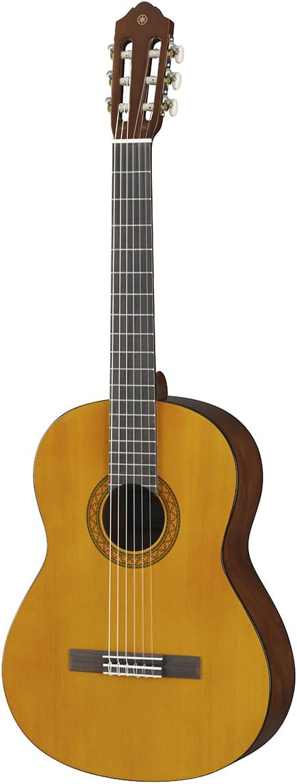 top rated acoustic guitars