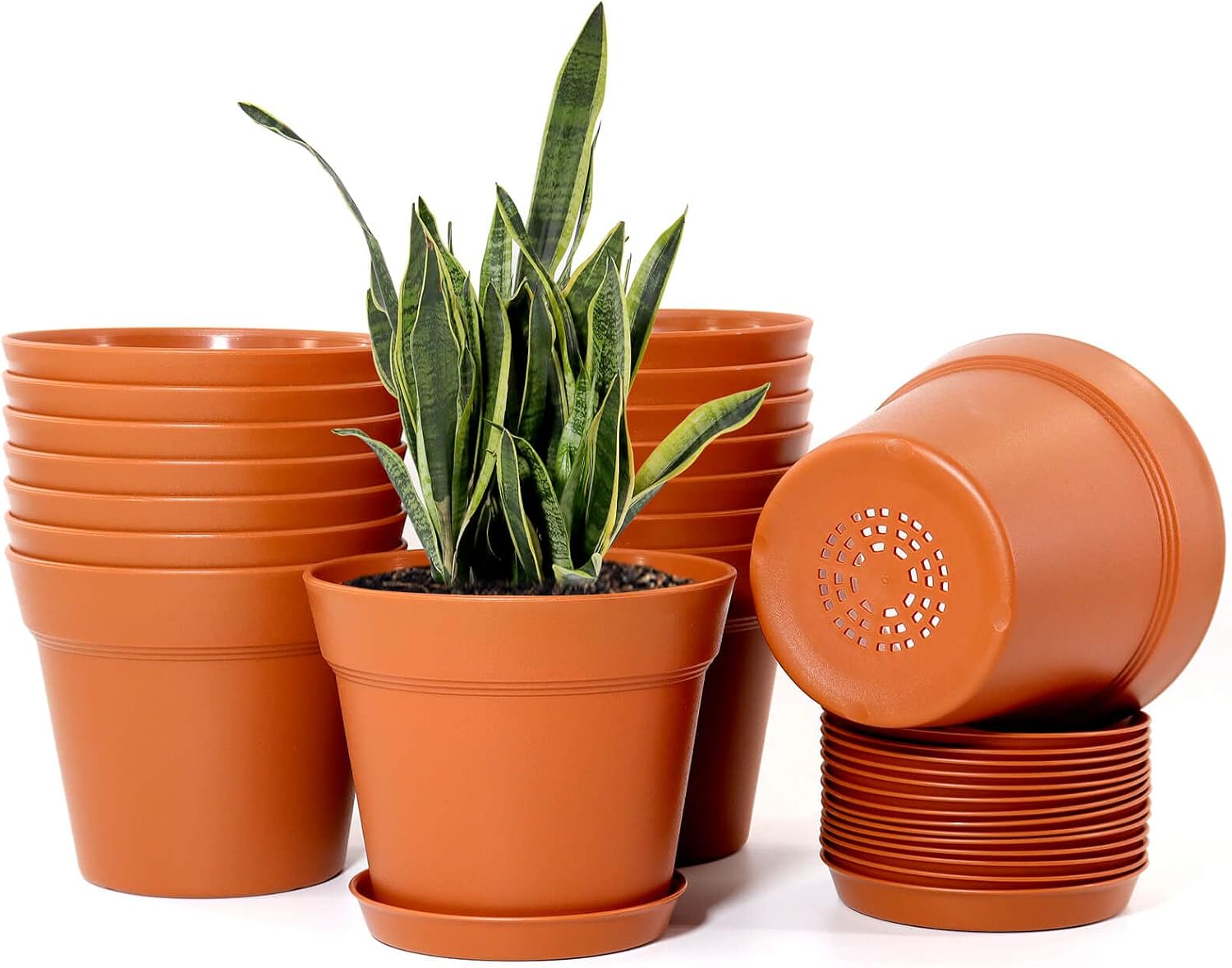 Amazon Basics Plastic Planters