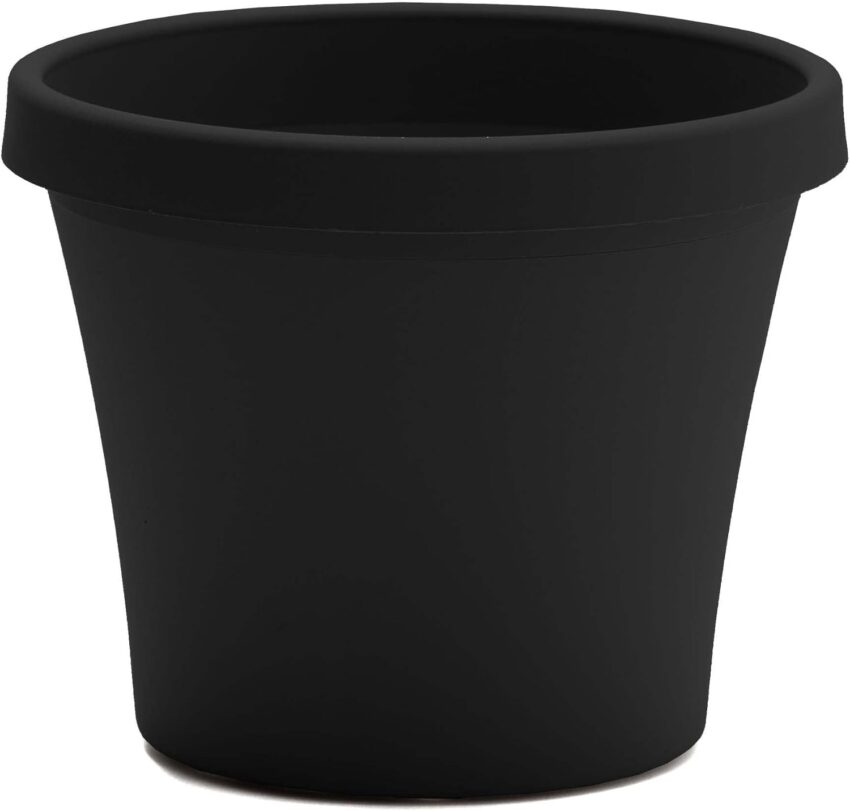 Amazon Basics Plastic Planters