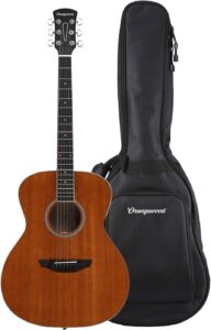 best sounding acoustic guitar