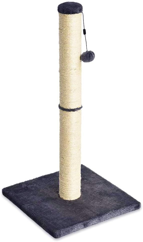 Amazon Basics Cat Scratching Posts