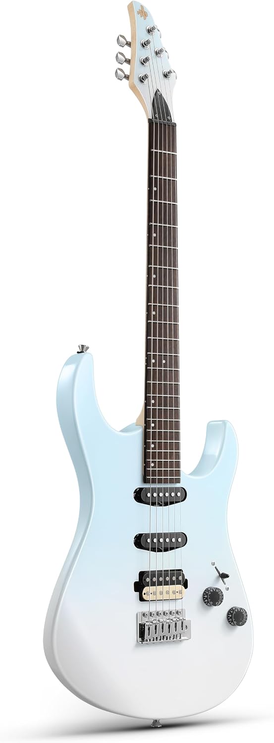 electric guitar starter kit