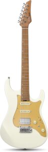 electric guitar starter kit