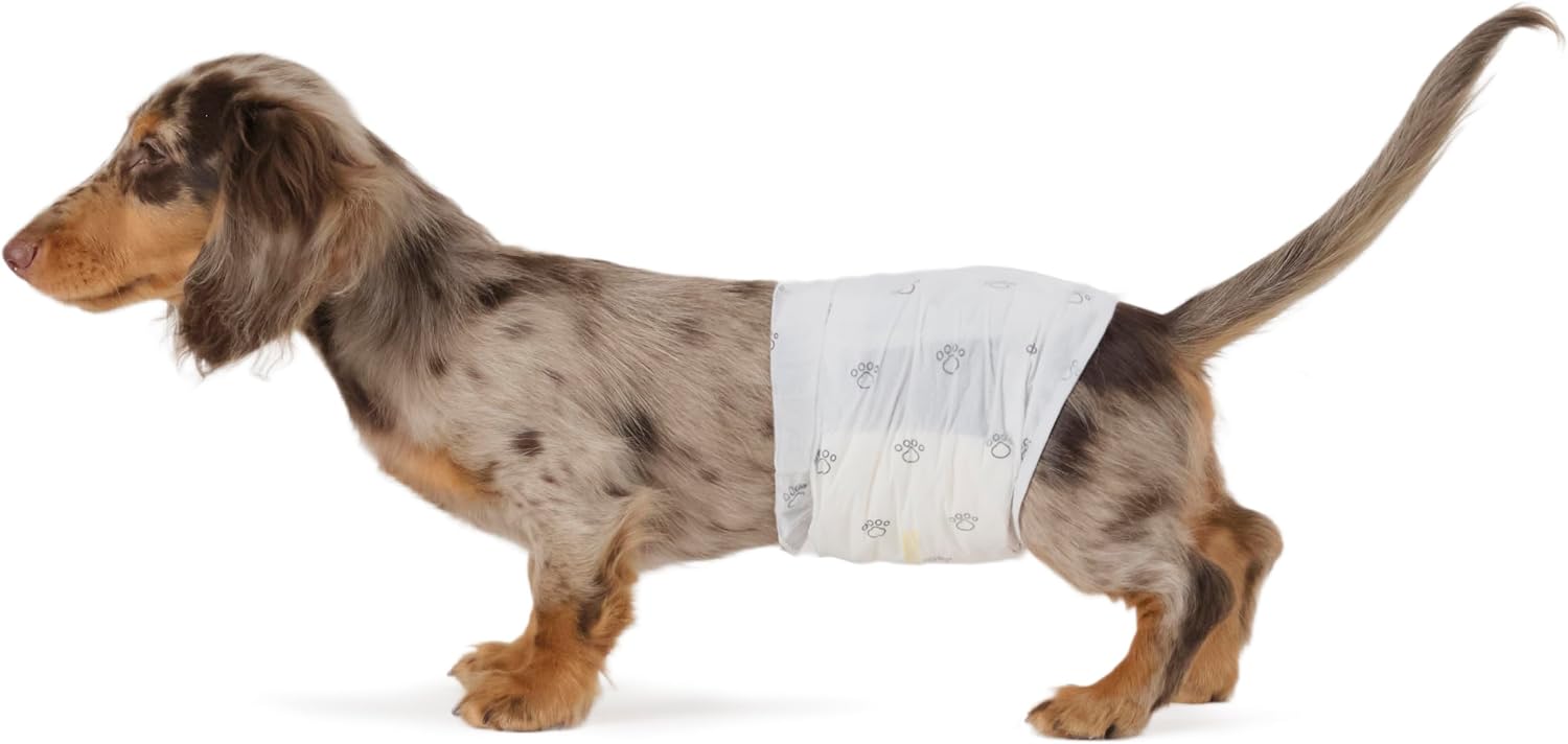 Amazon Basics Pets
