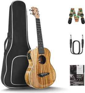 electric guitar starter kit