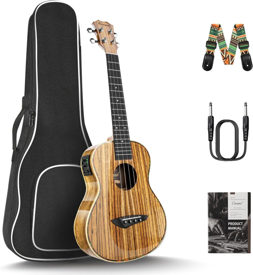 electric guitar starter kit