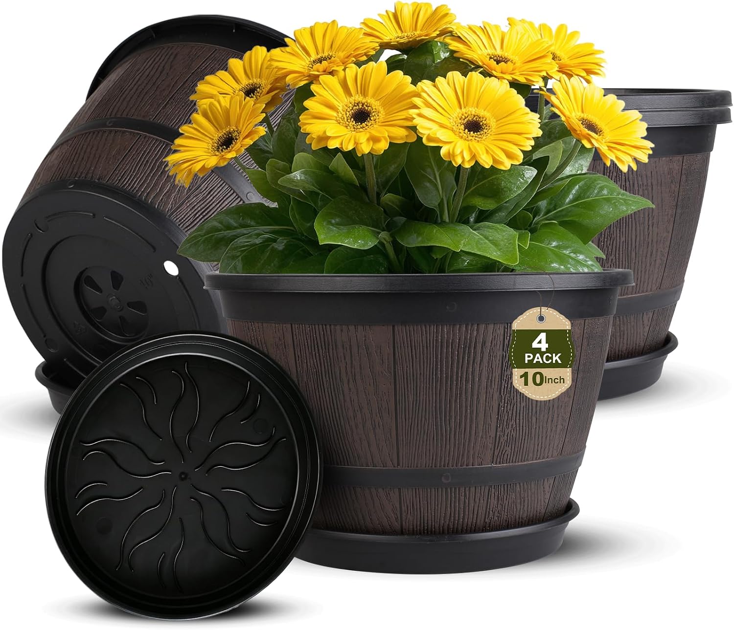 Amazon Basics Plastic Planters