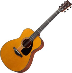 acoustic guitar reviews